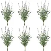 Creativ Green Kunstblume Lavendelbund, lila, Höhe 48 cm, 6 Stück