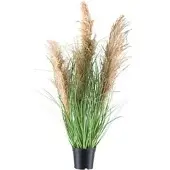 Creativ Green Kunstpflanze Natur-Schilfgras, im Topf, Höhe 75 cm