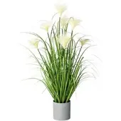 Creativ Green Kunstpflanze Riedgras, im Topf, Höhe 76 cm