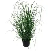 Gasper Creativ-green Kunstpflanze Grasbusch, im Topf, Höhe 75 cm