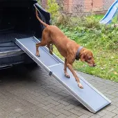 Trixie Teleskop-Hunderampe - Auto-Einstiegshilfe für Hunde, Alu