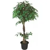 Brulo Kunstpflanze Ficus Benjamin, Kunstbaum im Topf, mit Echtholzstamm, Höhe 160 cm