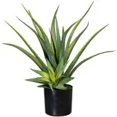 Creativ Green Kunstpflanze Aloe Vera, im Topf, Höhe 48 cm