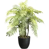 Creativ Green Künstliche Pflanze Farnpflanze 60cm im Topf