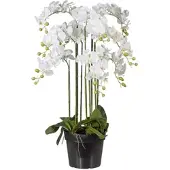 P&b Kunstblume Orchidee ca. 110cm