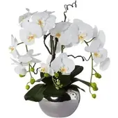 Creativ Green Kunstblume Orchidee, Phalaenopsis, weiß, Arrangement im Silbertopf, Höhe 55 cm