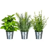 Creativ Green Kunstpflanze Kräutermix, im Topf, Höhe 23-26 cm, 3 Stück