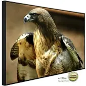 Papermoon Infrarotheizung »EcoHeat - Red Tail Hawk«, Matt-Effekt - bunt