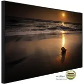 Papermoon Infrarotheizung »EcoHeat - Tropischer Strand Sonnenuntergang«, Matt-Effekt - bunt