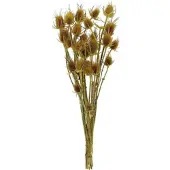 Flowerbox Trockenblumen »Distel« - gelb