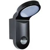 ESYLUX AOL 100 LED 3K schwarz