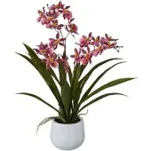 Creativ Green Kunstblume Cambria-Orchidee, dunkelrosa, im Keramik-Topf, Höhe 50 cm