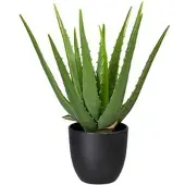Creativ Green Kunstpflanze Aloe Vera, im Topf, Höhe 33 cm