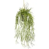 Creativ Green Kunstpflanze Rhipsalishänger, im Topf, Höhe 60 cm
