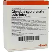 Heel Glandula Sup Suis Inj O 10 ST