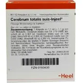 Heel Cerebrum To Suis Inj Or 10 ST