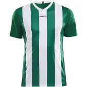 Craft Trikot progress stripe