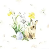 Home , World of Easter, Cocktail-Servietten aufgefaltetes Maß 25 cm x 25 cm, im Viertelfalz, 20 Stück pro Pack, 12 Pack pro Karton