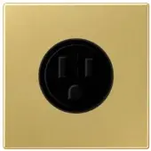 JUNG Steckdose 1f ms mt LS UP IP20 ZP NEMA ME2521-15C