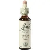 Nelsons Bach-Blüte Beech 20 ML
