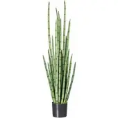 Creativ Green Kunstpflanze Sansevieria Cylindrica, im Topf, Höhe 140 cm