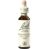 Nelsons Bach-Blüte Honeysuckle 20 ML
