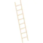 Layher Anlegeleiter 1052, Länge 2,45m, aus Holz mit 8 Sprossen