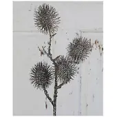 H Andreas Belles Fleurs Künstlicher Rambutanfruchtzweig, 4-fach, 60 cm, braun-weiß