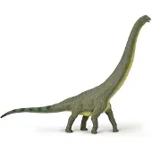 Collecta Dreadnoughtus Grün Grün One Size