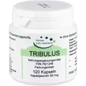 G & M Naturwaren Import GmbH & Co. KG Tribulus Kapseln