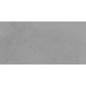 Fineza Project Bodenfliese grau 30x60 cm matt DAKSR371.1