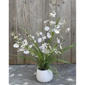 H Andreas Belles Fleurs Künstliche Orchidee Oncidium, getopft, 50 cm, creme-weiß