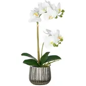 Creativ Green künstliche Pflanze Phalaenopsis im silbernen Keramiktopf, weiß, Real Touch, 48cm