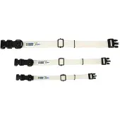 Axaeco Galaxy Hundehalsband