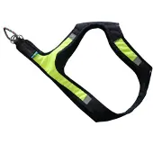 Axaeco X-run Hundegeschirr