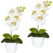 Creativ Green Kunstpflanze "Orchidee Phalaenopsis" im Keramiktopf
