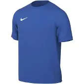 Nike Herren Trikot M NK DF PARK VIII JSY SS