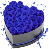 Vevor 27x Ewige Rosen in Herzform Box