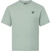 Jack Wolfskin T-Shirt Print T Hike Kinder Aqua Pearl-Größe 116