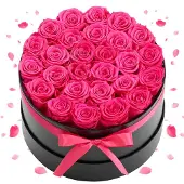 Vevor 27 Stk. Ewige Rosen in runder Box