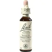 Nelsons Bach-Blüte White Chestnut 20 ML