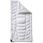 Billerbeck Topper Climatraum