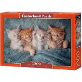 Castorland The Sweetest Kittens Puzzle – 1000 Pieces – 68 x 47 cm