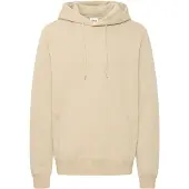 Solid Hoodie Nickolas