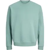 Jack & Jones Sweatshirt "JJEBRADLEY SWEAT CREW NOOS PLS", mit Rippbündchen
