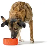 Hunter Futternapf für Hunde OSBY Orange aus Keramik 550 ml