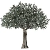 Oviala Business Künstlicher Premium-Olivenbaum 360 cm grün
