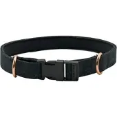 Imperial Riding Hundehalsband Ambient Black zebra 2022, Größe: L