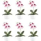 Creativ Green künstliche Pflanze Phalaenopsis, ca 27cm, "Real Touch", 6er Set