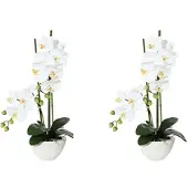 Creativ Green künstliche Pflanze Phalaenopsis, 50cm, "Real Touch", 2er Set